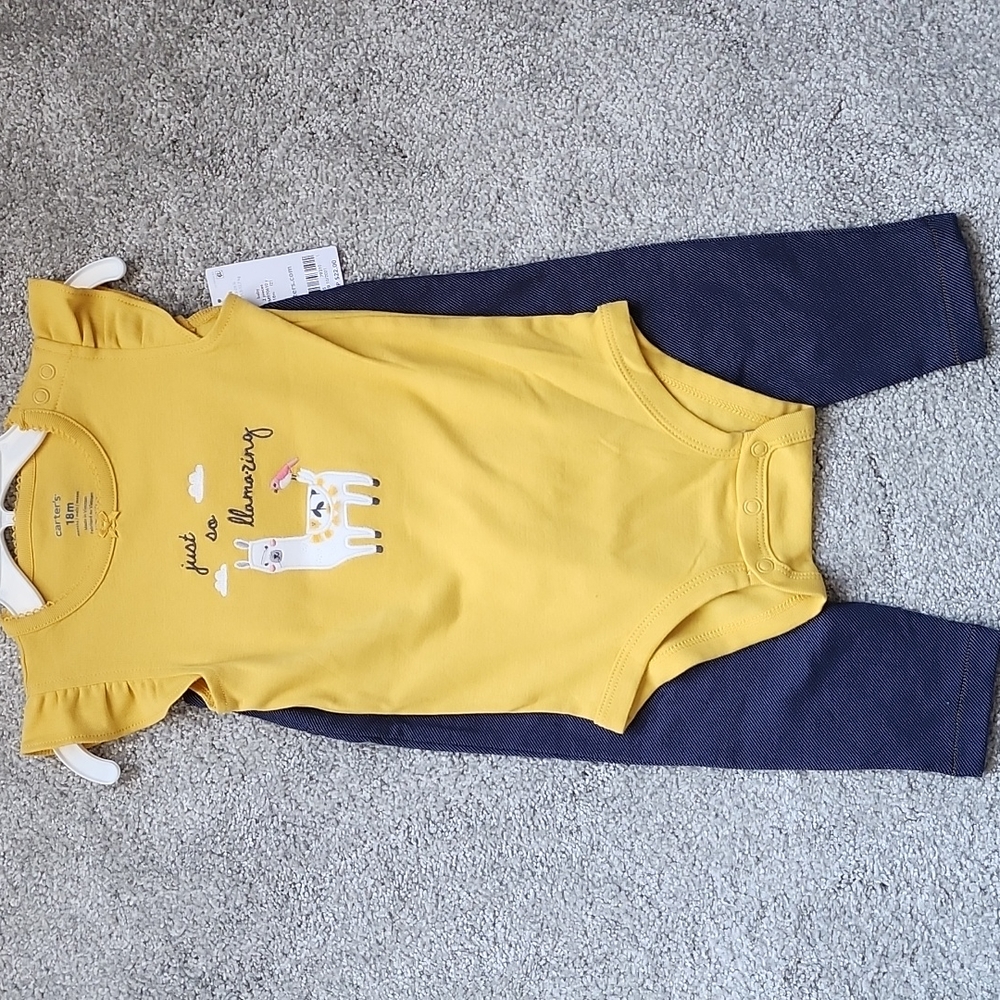 NWT CARTER'S 18m outfit